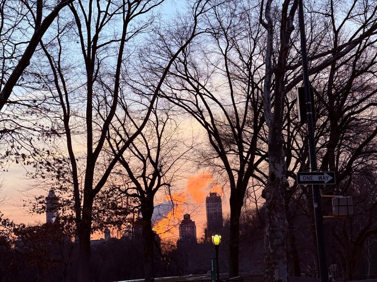 The Tattoo I Wasn’t Supposed to&nbsp;Read