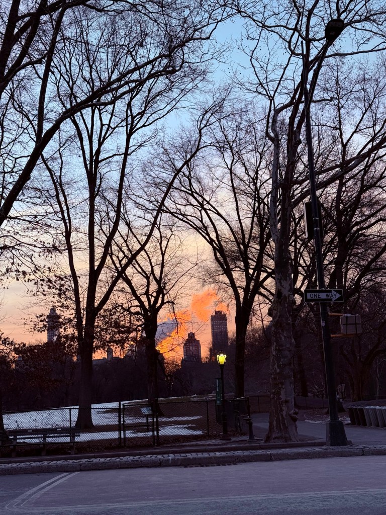 Sunrise over Central Park