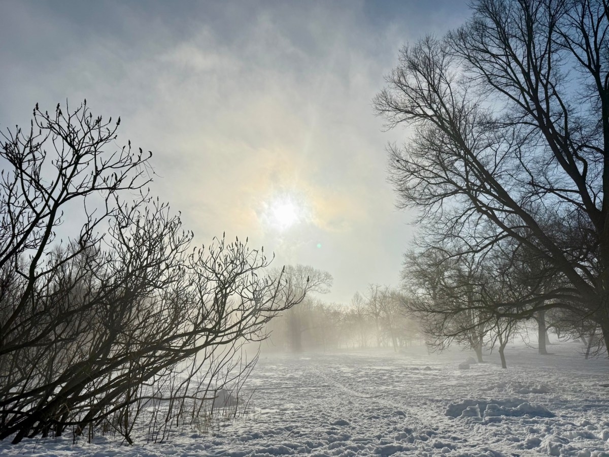 Navigating Life Lessons on a NYC&nbsp;Subway