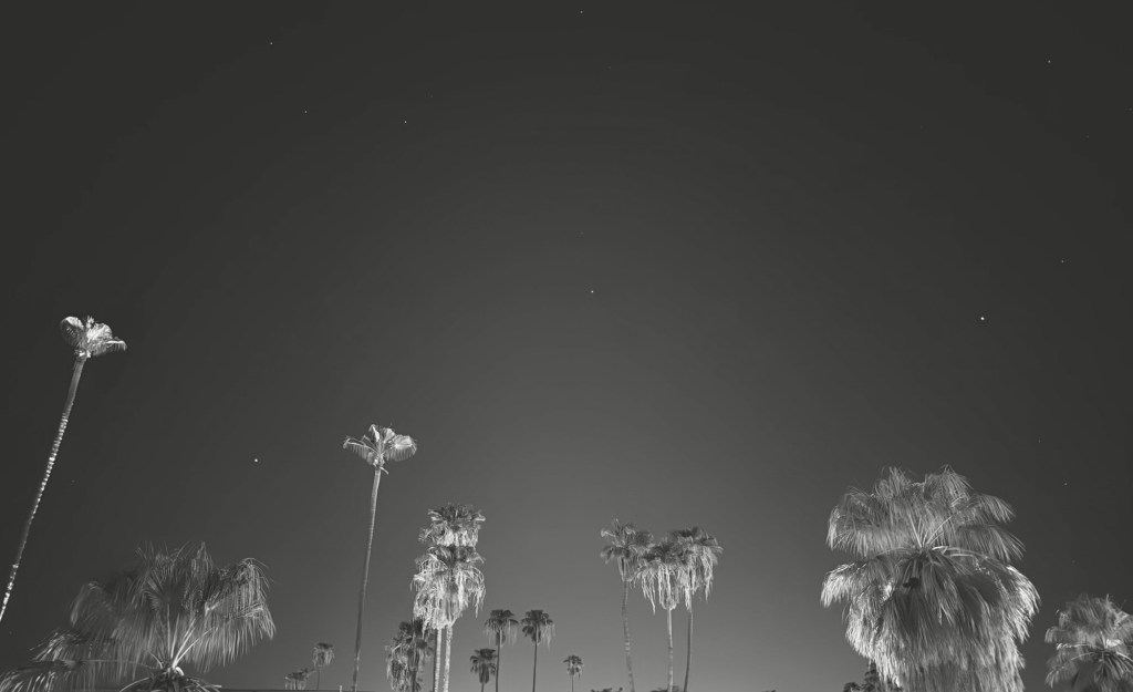 Palm Springs skyline at dusk, palm trees against the mountains