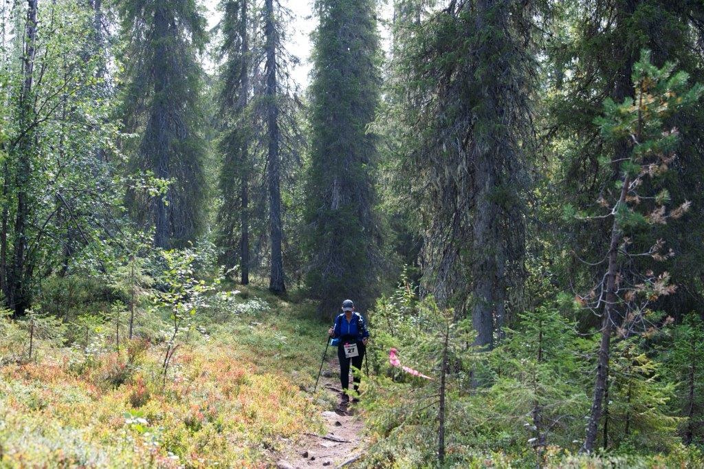 Lapland, Finland 2022